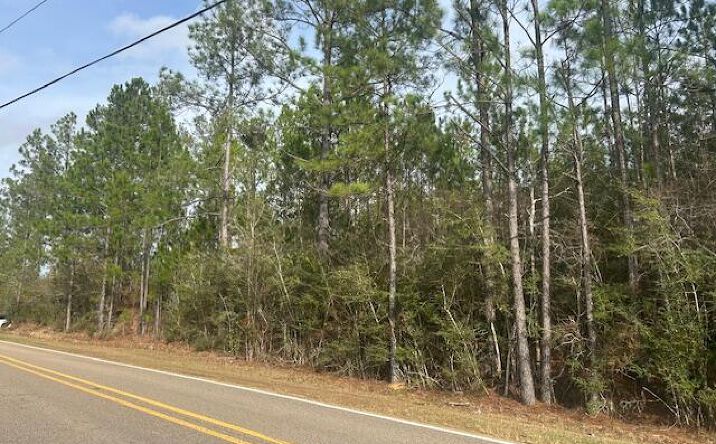 Pictures of Land property located at S Carr Bridge Road, Biloxi, MS 39532 for sales - image #1