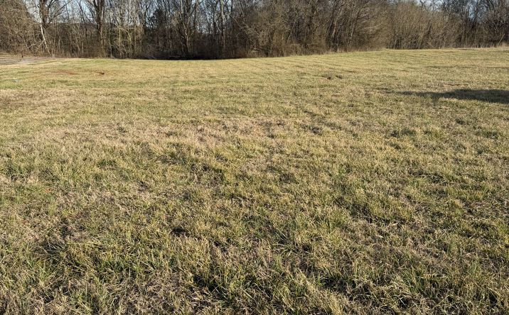 Pictures of Land property located at 14500 Hwy 43, Russellville, AL 35654 for sales - image #1