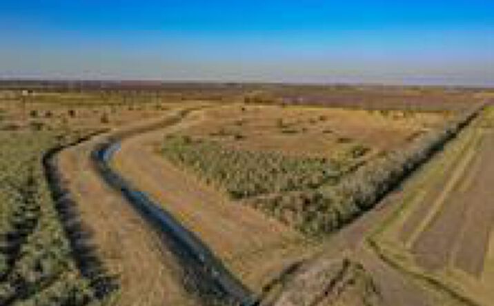 Pictures of Land property located at 00 County Road 8, Guy, TX 77444 for sales - image #1