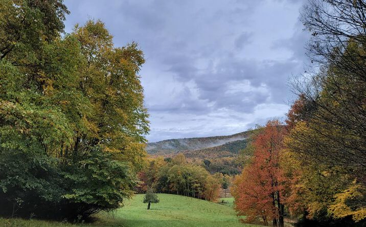 Pictures of Land, Multifamily property located at Old Slash Rd, Troutdale, VA 24378 for sales - image #1