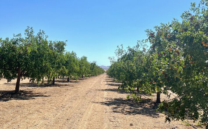 Pictures of Land property located at 12775 Ivanhoe Rd, Lucerne Valley, CA 92356 for sales - image #1