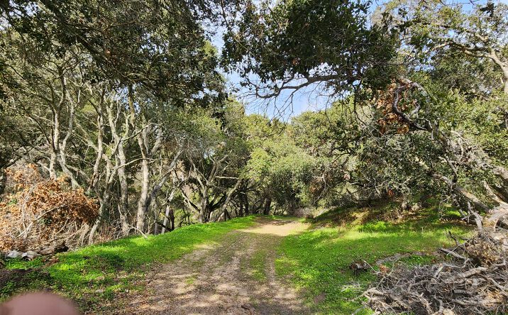 Pictures of Land property located at Salinas Road, San Juan Bautista 95045, San Juan Bautista, CA 95045 for sales - image #1