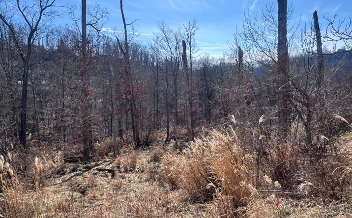 Pictures of Land property located at Joplin Place, South Charleston, WV 25309 for sales - image #1