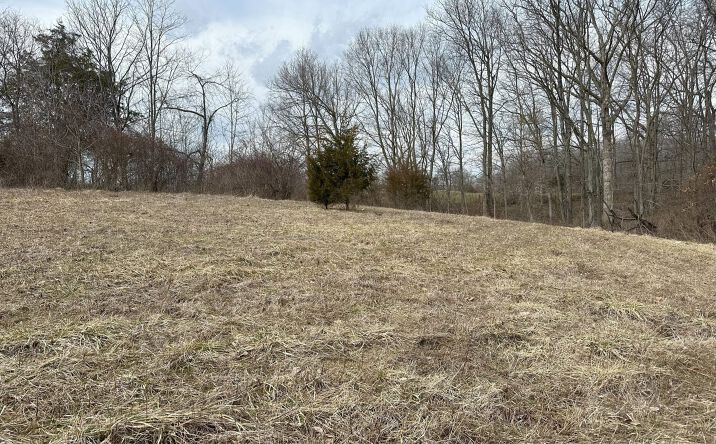Pictures of Land property located at 0 Wilson Rd, Winchester, OH 45697 for sales - image #1