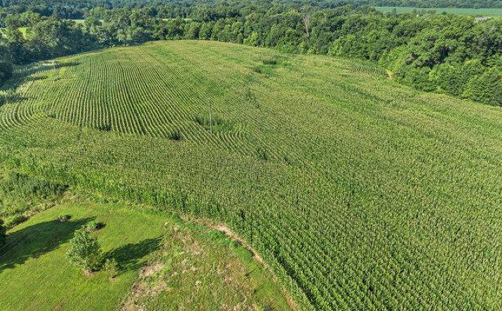 Pictures of Land property located at 33ac Penrod Rd, Troy, MO 63379 for sales - image #1
