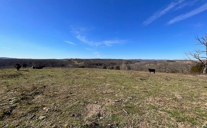 Pictures of Land property located at 594 Co Rd 873, Thornfield, MO 65762 for sales - image #1