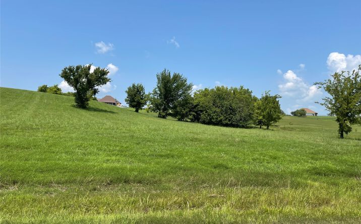 Pictures of Land property located at 40755 N 3988 Road, Collinsville, OK 74021 for sales - image #1