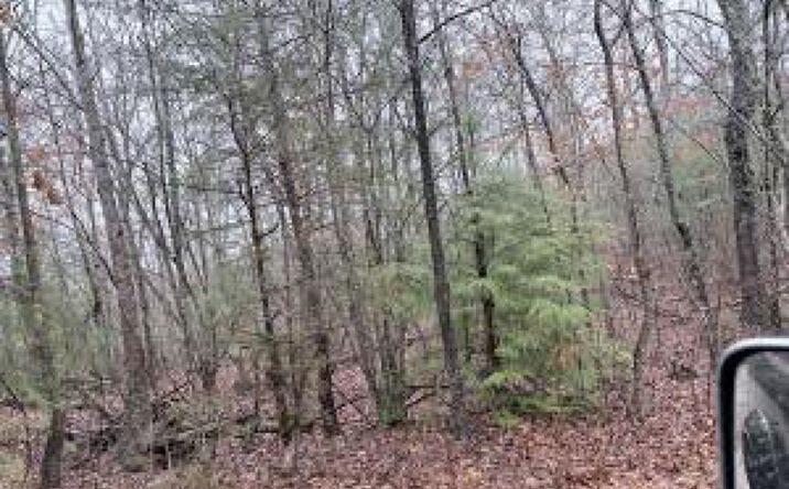 Pictures of Land property located at 000000 hwy 68, Tellico Plains, TN 37385 for sales - image #1