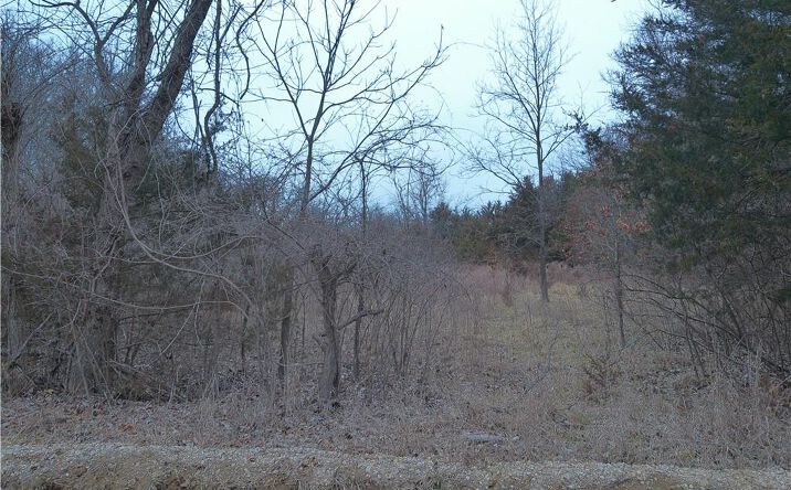 Pictures of Land property located at W 371st Street, Osawatomie, KS 66064 for sales - image #1