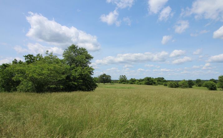 Pictures of Land property located at 000 County Road 7830, Caulfield, MO 65626 for sales - image #1