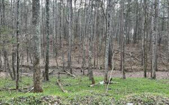Pictures of Land property located at Butler Road Lot 4, Decatur, TN 37322 for sales - image #1