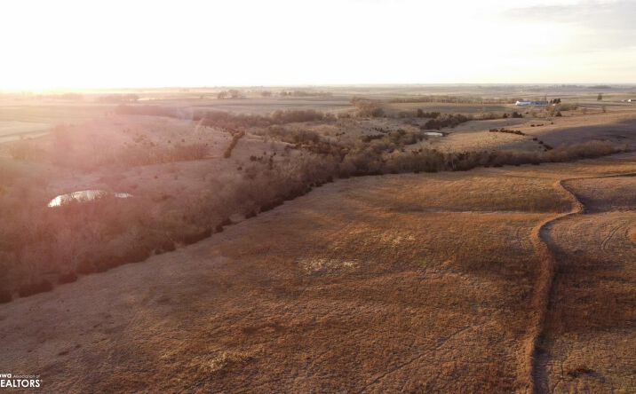 Pictures of Land, Special Purpose property located at 2248 250th St., Stanton, IA 51573 for sales - image #1