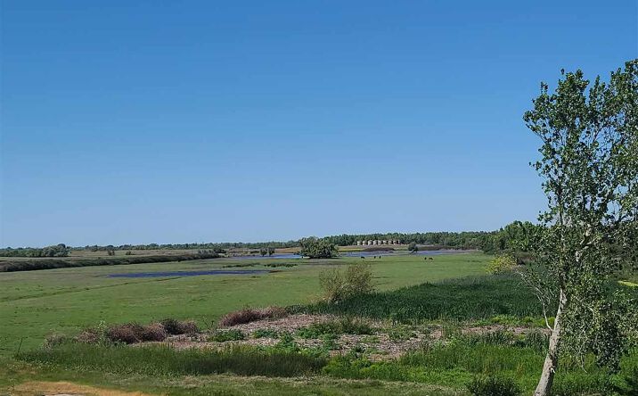 Pictures of Land property located at 0 Bradford Island, Bethel Island, CA 94511 for sales - image #1