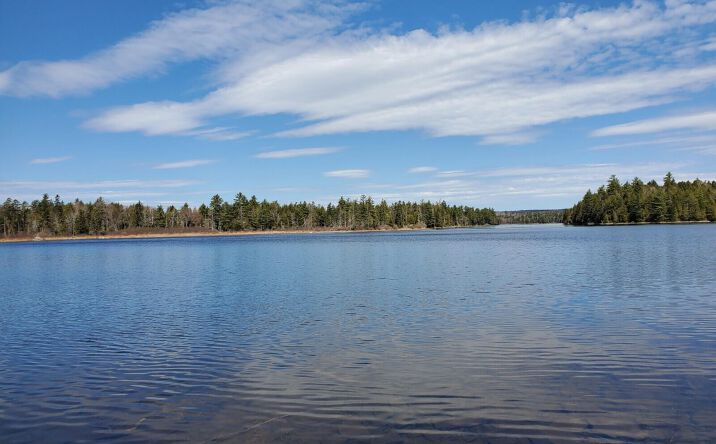 Pictures of Land property located at Barrows Lake Rd, Alexander, ME 04694 for sales - image #1