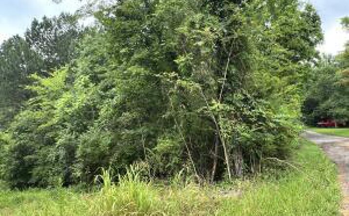 Pictures of Land property located at Lot 2 Prigmore Ridge Rd, Decatur, TN 37322 for sales - image #1