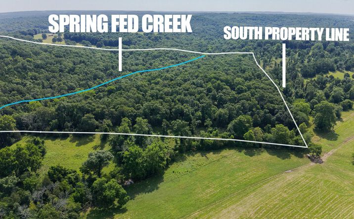 Pictures of Land property located at 000 County Road 544, Caulfield, MO 65626 for sales - image #1