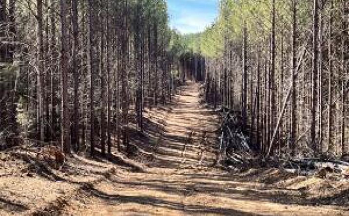 Pictures of Land property located at Lot 18 Sam Davis Road, Decatur, TN 37322 for sales - image #1