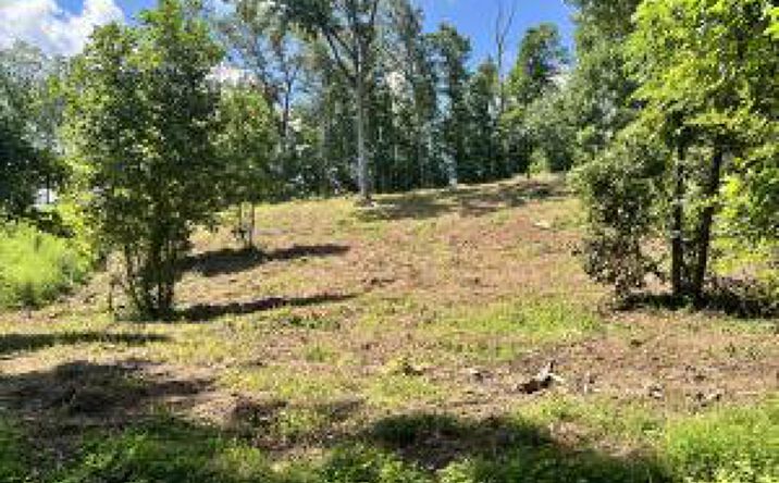 Pictures of Land property located at Lot 1 Arwine Road, Decatur, TN 37322 for sales - image #1