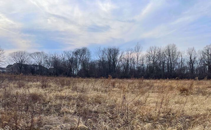 Pictures of Land property located at 0 SR 4, Marysville, OH 43040 for sales - image #1