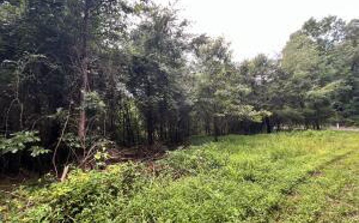 Pictures of Land property located at Lot 1 Prigmore Ridge Rd, Decatur, TN 37322 for sales - image #1