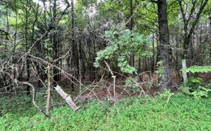 Pictures of Land property located at Willie Prigmore Ridge Rd, Decatur, TN 37322 for sales - image #1