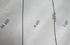 29848069