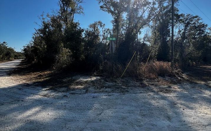 Pictures of Land property located at NE 867th St, Old Town, FL 32680 for sales - image #1