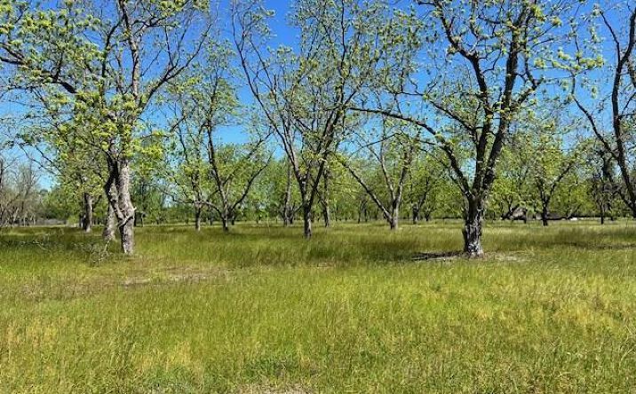 Pictures of Land property located at Johnson, Naylor, GA 31641 for sales - image #1