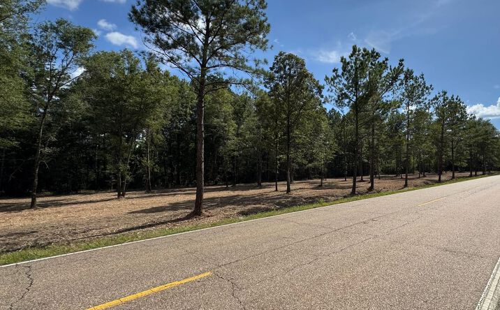 Pictures of Land property located at Tbd La Hwy 40, Albany, LA 70443 for sales - image #1