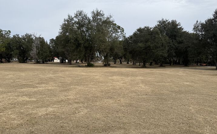 Pictures of Land property located at 1019 Morris Bridge Road, Zephyrhills, FL 33543 for sales - image #1