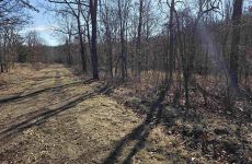 29857022