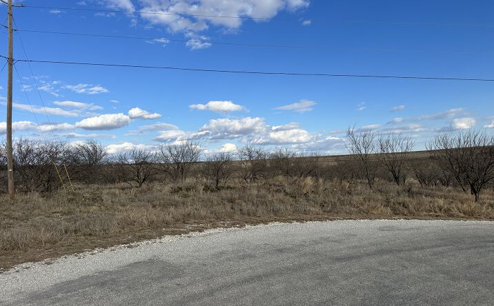 Pictures of Land property located at 116 Comanche Lake Rd., Comanche, TX 76442 for sales - image #1