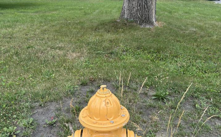 Pictures of Land property located at 799 E Burnham Street, Lowell, IN 46356 for sales - image #1