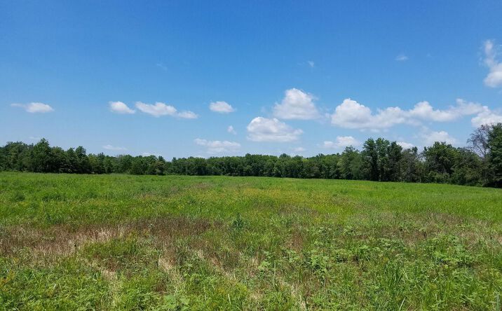 Pictures of Land property located at 1020 W McCord Street, Centralia, IL 62801 for sales - image #1