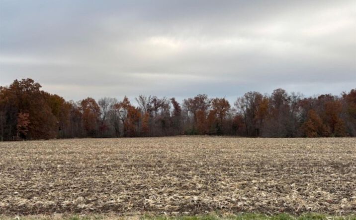 Pictures of Land property located at A Alma Hatchery Road, Odin, IL 62870 for sales - image #1