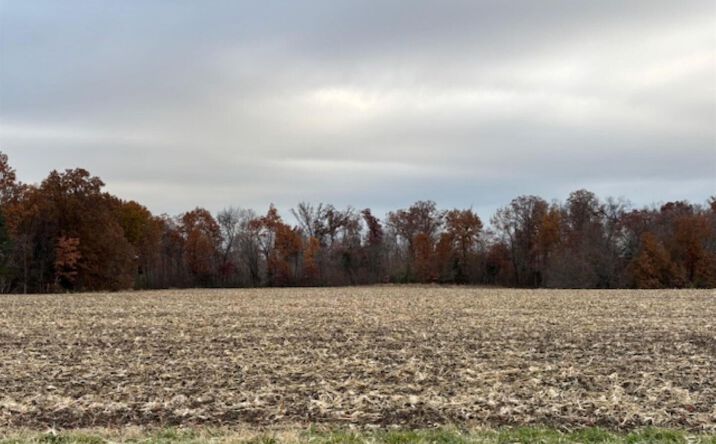 Pictures of Land property located at B Alma Hatchery Road, Odin, IL 62870 for sales - image #1
