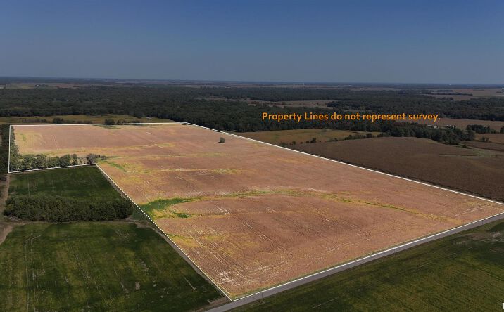Pictures of Land property located at 000 S Tallowtree Drive, Xenia, IL 62899 for sales - image #1