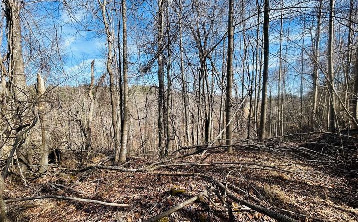 Pictures of Land, Multifamily property located at TBD Valley Hill Dr/Meadow Creek Rd, Galax, VA 24333 for sales - image #1