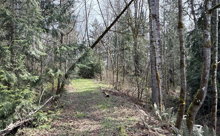 Pictures of Land property located at 22 XXX 212th Ave SE, Maple Valley, WA 98038 for sales - image #1