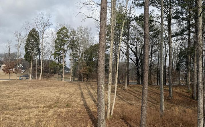 Pictures of Land property located at Lots 14-17 Stately Oak Dr, Huntingdon, TN 38344 for sales - image #1