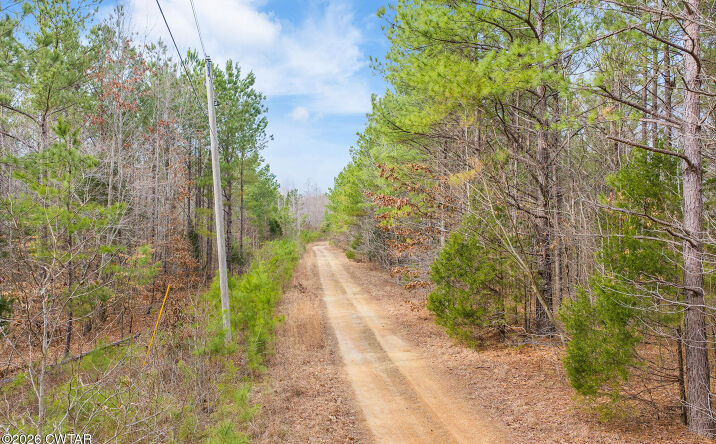 Pictures of Land property located at Lot 9 Kehrer Lane, Huntingdon, TN 38344 for sales - image #1