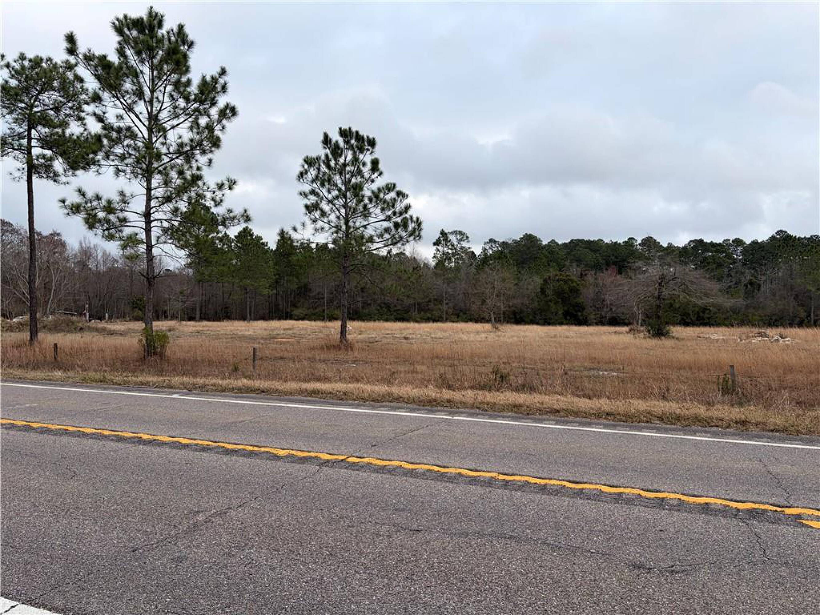 10585 Bellingrath Rd, Theodore, AL 36582