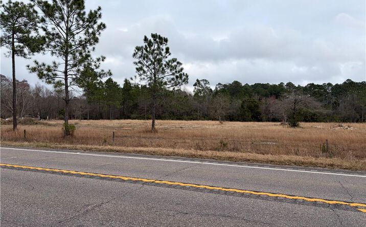 Pictures of Land property located at 10585 Bellingrath Rd, Theodore, AL 36582 for sales - image #1