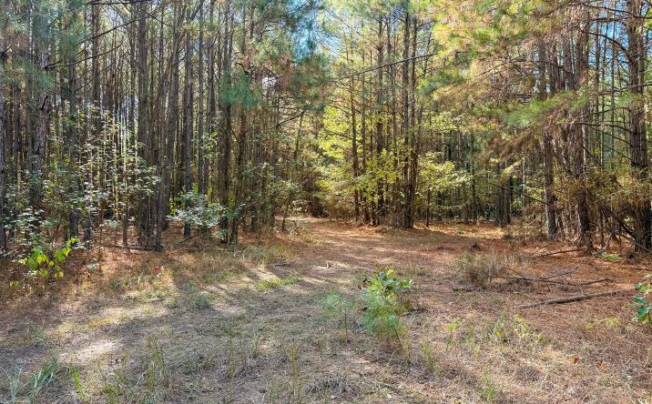 Pictures of Land property located at 00 Black Cemetery Rd, Rison, AR 71665 for sales - image #1