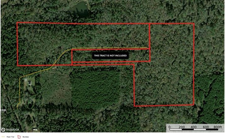 Pictures of Land property located at TBD CR 1131, Linden, TX 75563 for sales - image #1