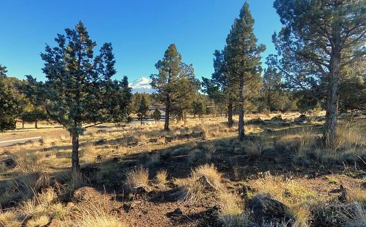Pictures of Land property located at 0 Mountain Wood Dr, Weed, CA 96094 for sales - image #1