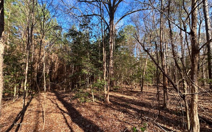 Pictures of Land property located at 13.9 ac CR 3439, Atlanta, TX 75551 for sales - image #1