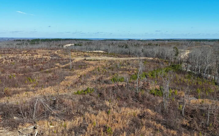 Pictures of Land property located at Rockport McIllwain Rd, Holladay, TN 38341 for sales - image #1