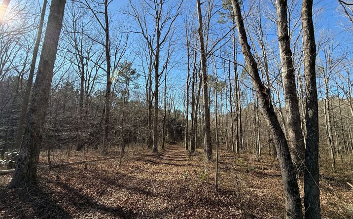 Pictures of Land property located at 000 Nix Road, Phil Campbell, AL 35581 for sales - image #1