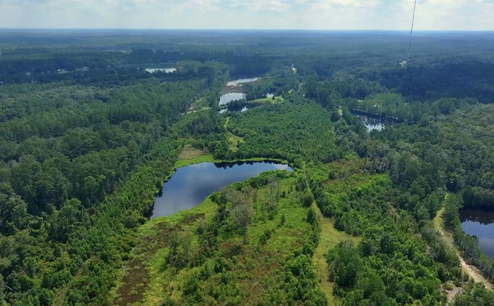 Pictures of Land property located at Fort Argyle Rd, Savannah, GA 31419, Uncle Shed's Rd, Bloomingdale, GA 31419 for sales - image #1